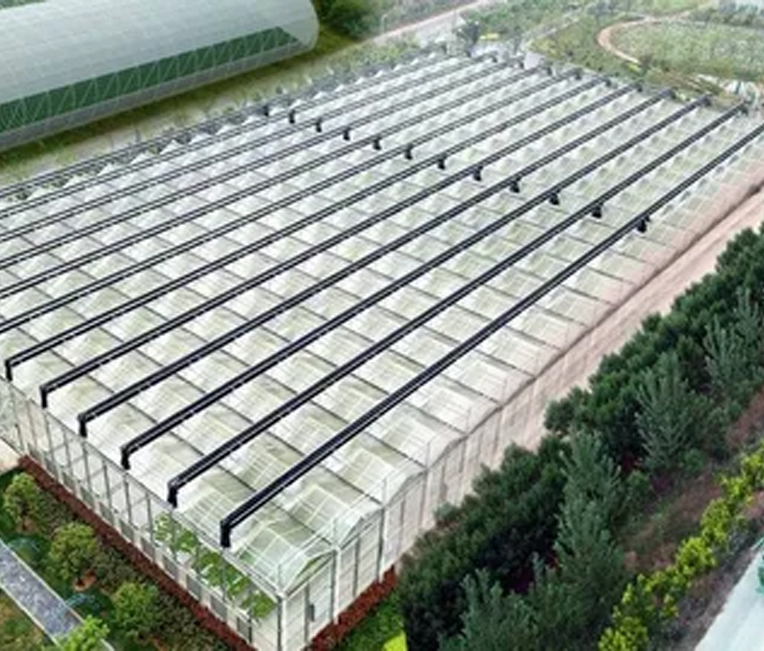 Inżynieria konstrukcji stalowych w ramach projektu cyfrowego rolnictwa Shanghai Alibaba